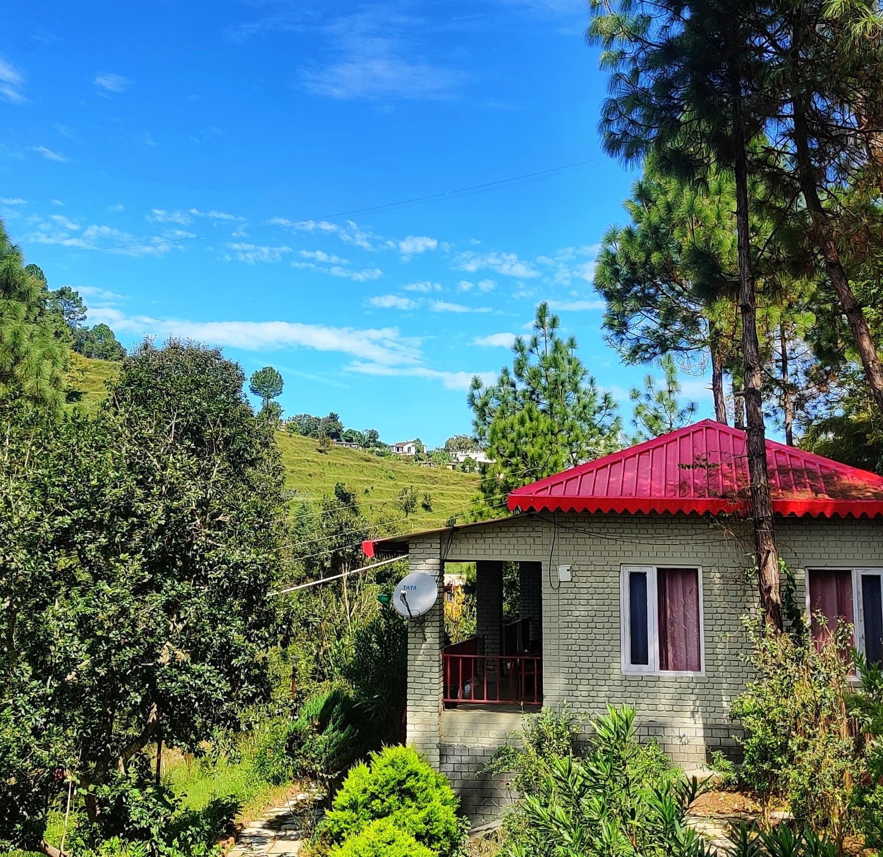 Majkhali Woods - panoramic view of Ranikhet